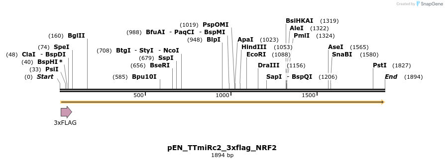 263390_map