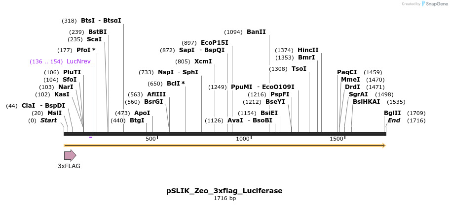 263396_map