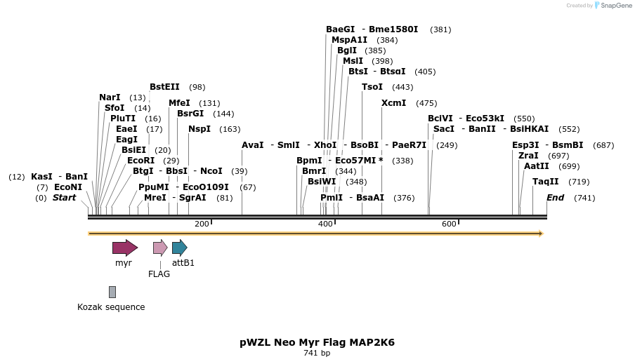 26340_map