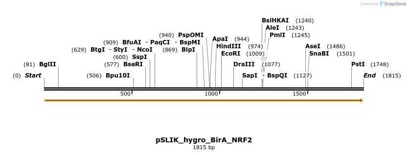 263402_map