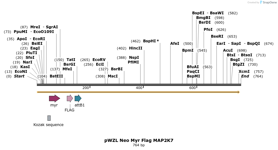 26341_map
