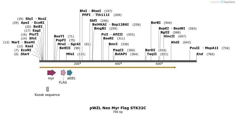 26342_map