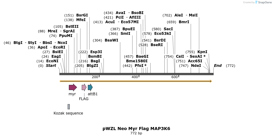 26344_map