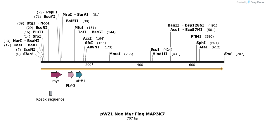 26345_map