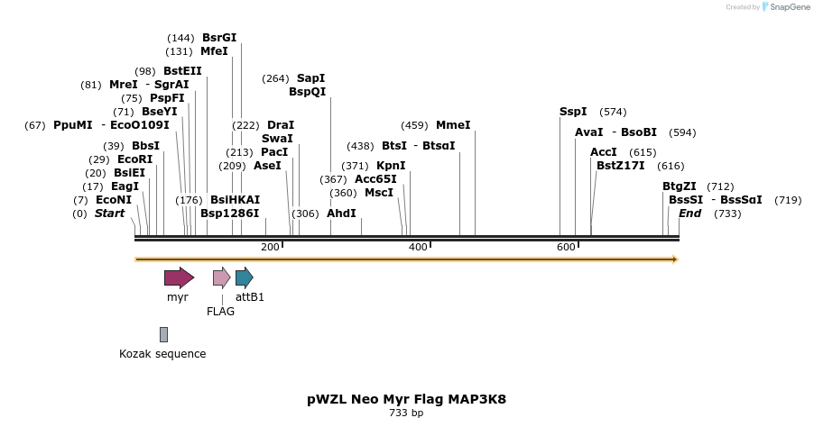 26346_map
