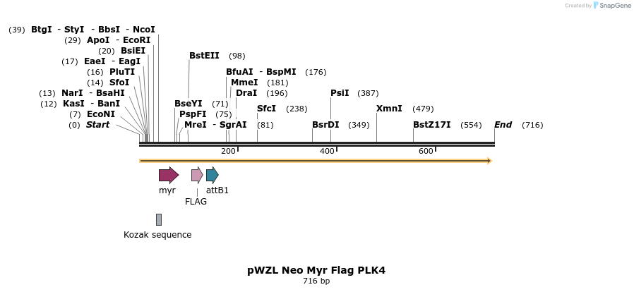 26347_map