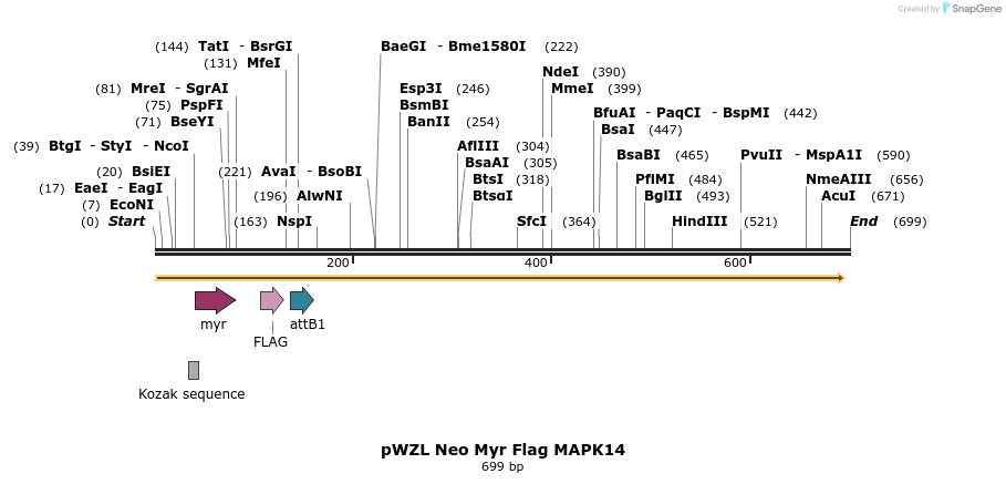 26349_map