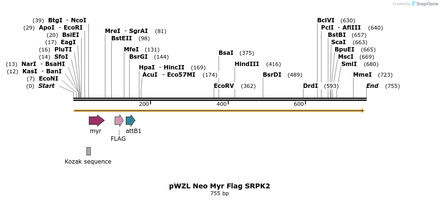 26350_map