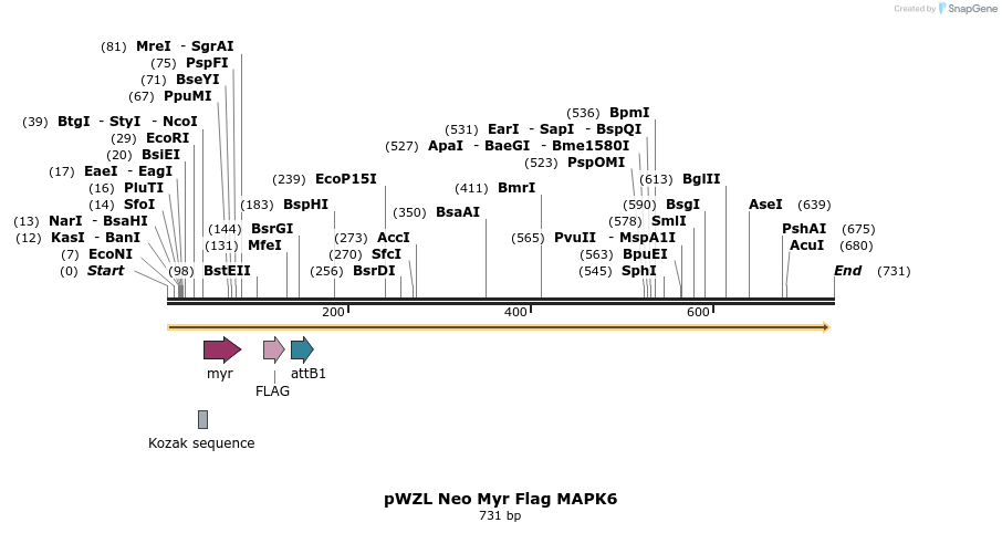 26351_map