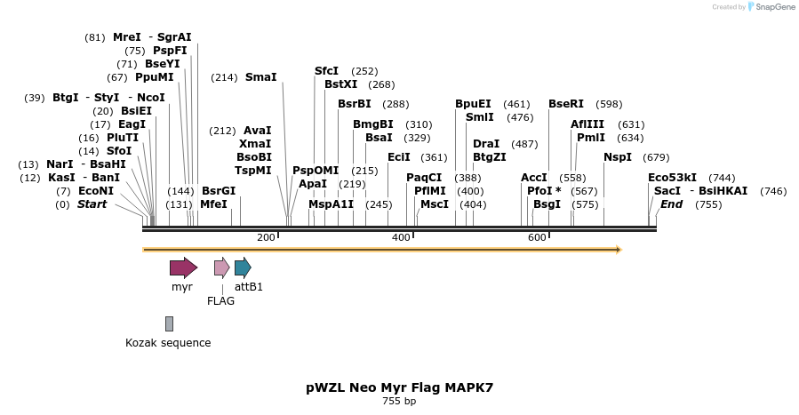 26352_map