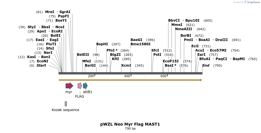 26357_map