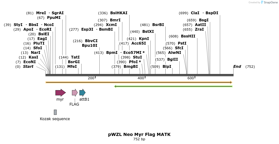 26359_map