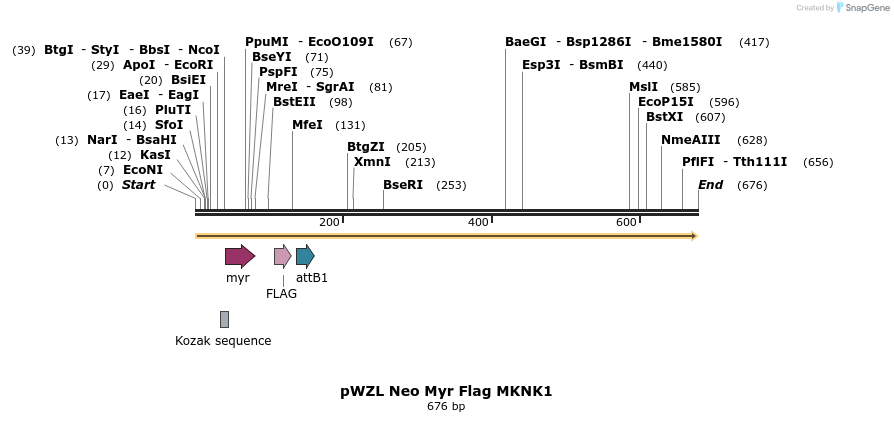 26361_map