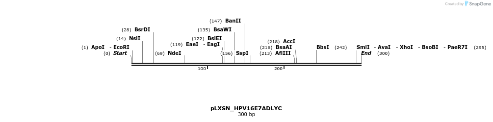 263610_map