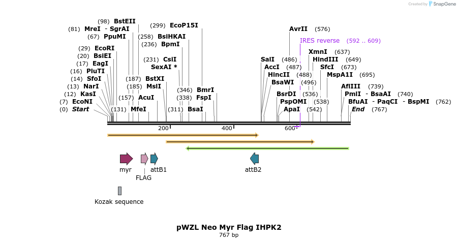 26363_map