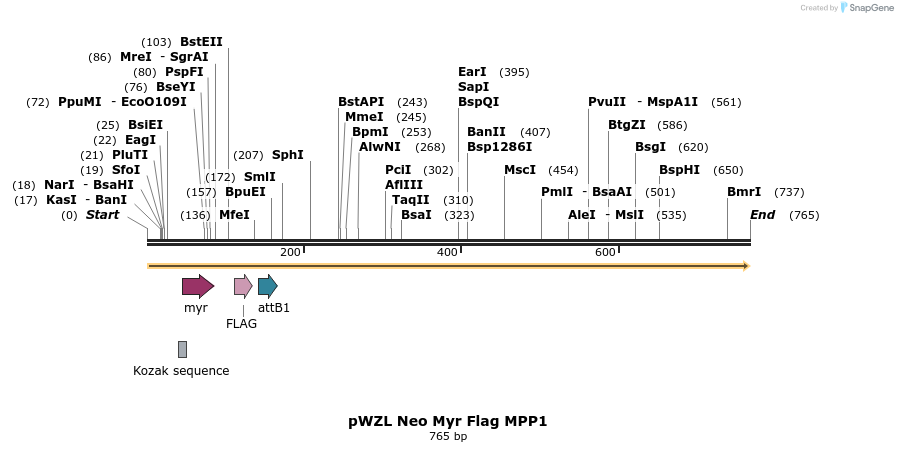 26366_map