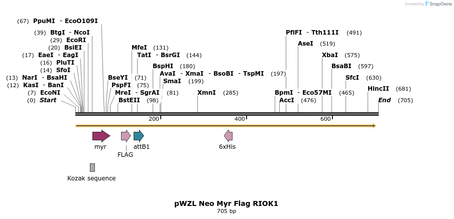 26367_map