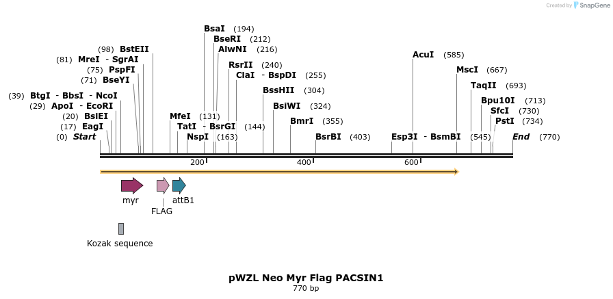 26369_map