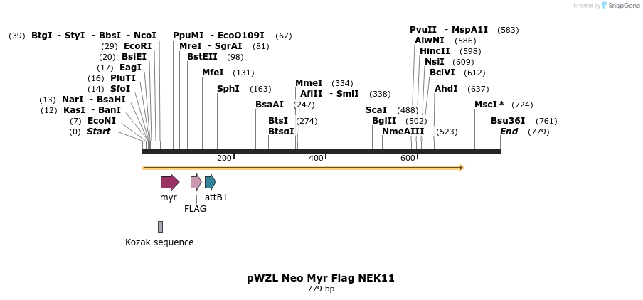 26370_map