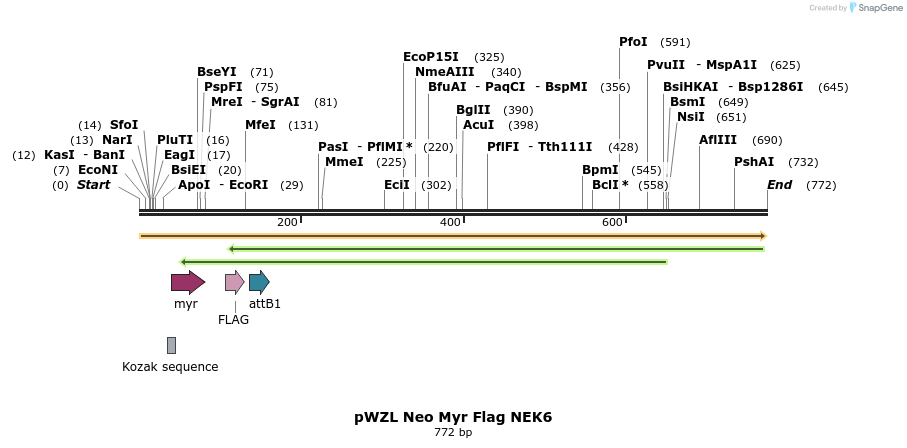 26372_map
