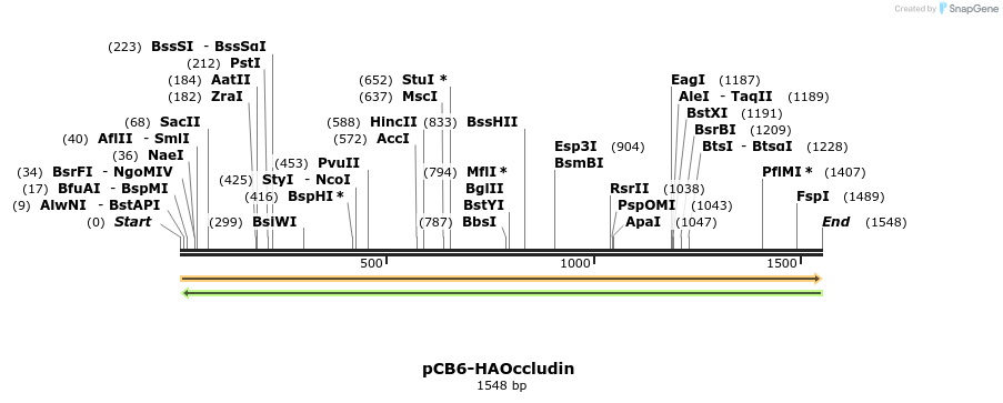 263789_map