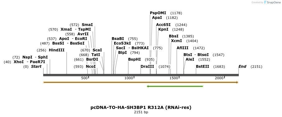 263793_map