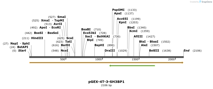 263794_map