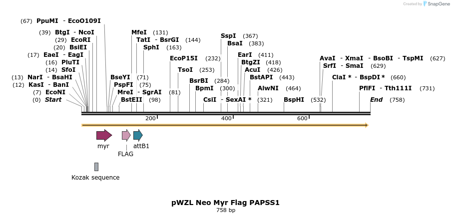 26380_map