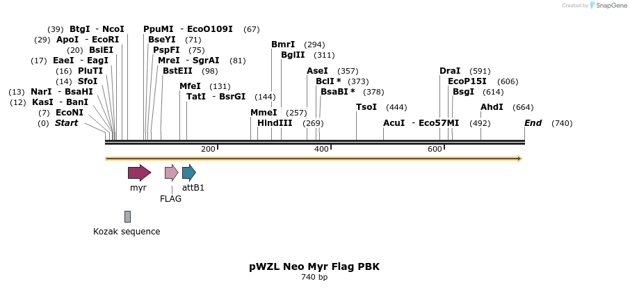 26381_map