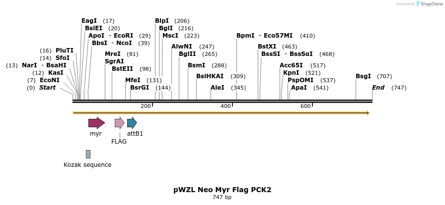 26382_map