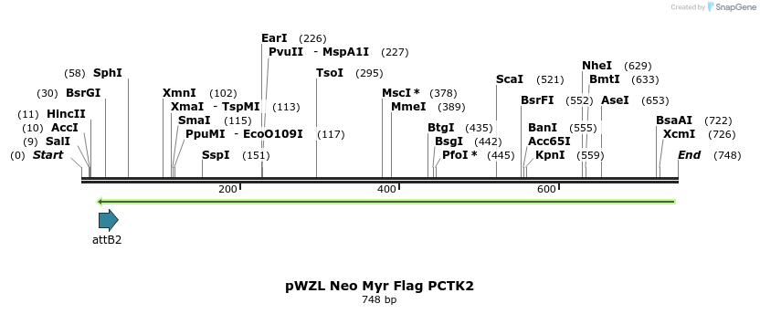 26386_map