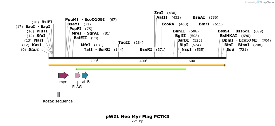 26387_map