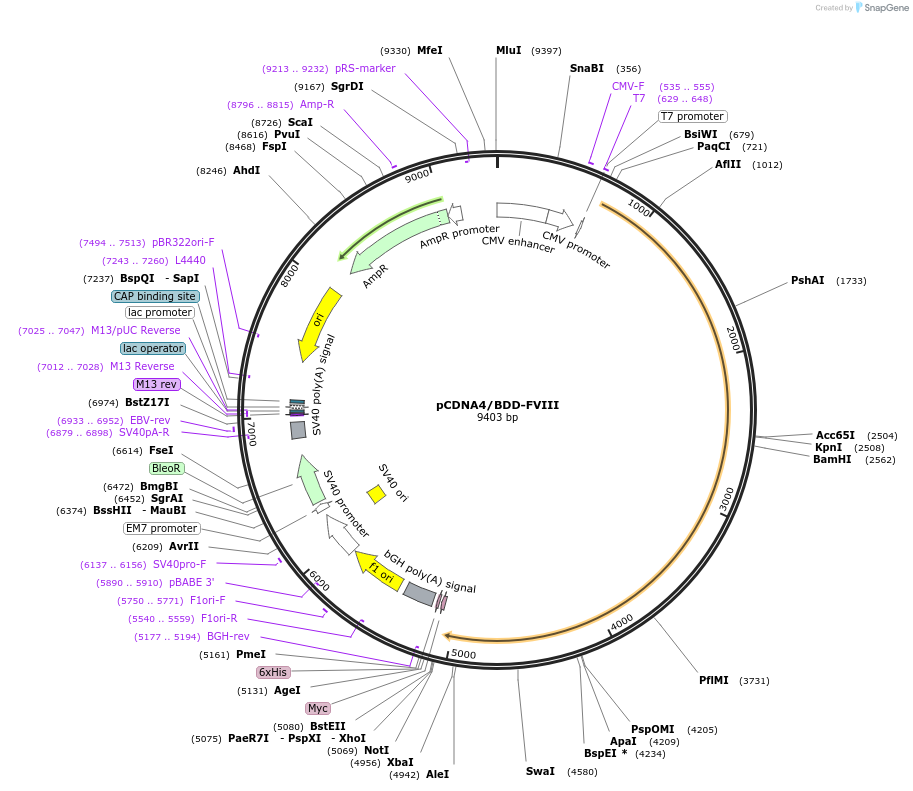 263882_map