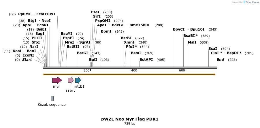 26389_map