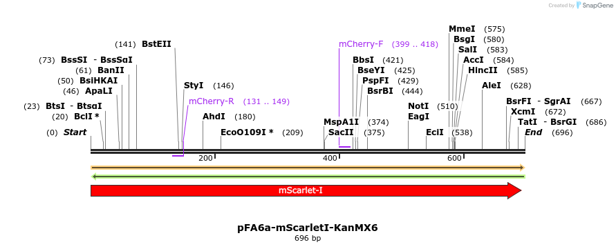 263898_map