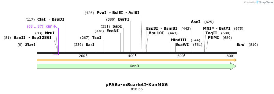 263899_map