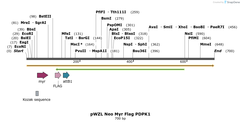 26390_map