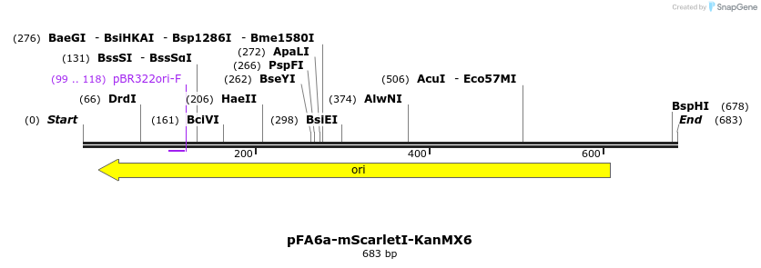 263900_map