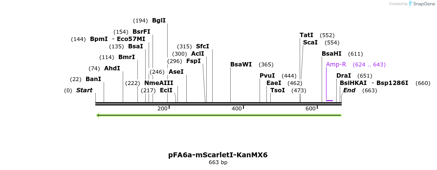 263901_map