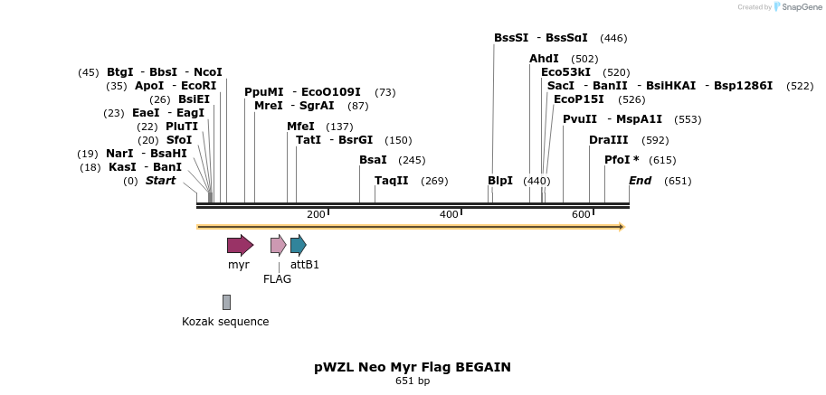 26392_map