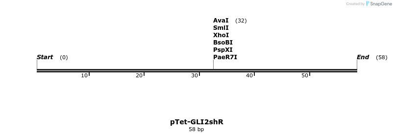 263922_map