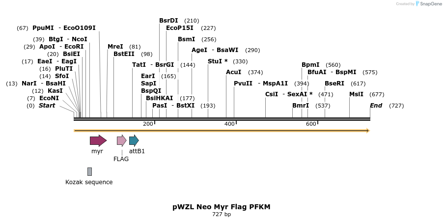 26393_map