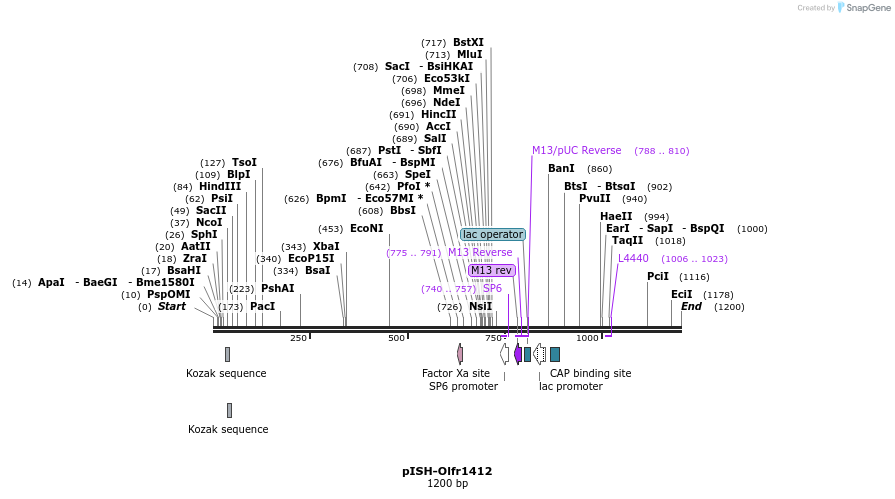 263960_map