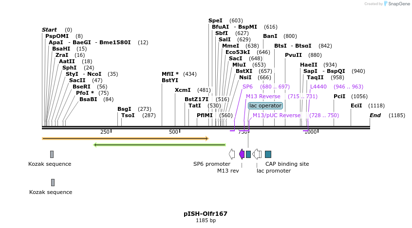 263967_map