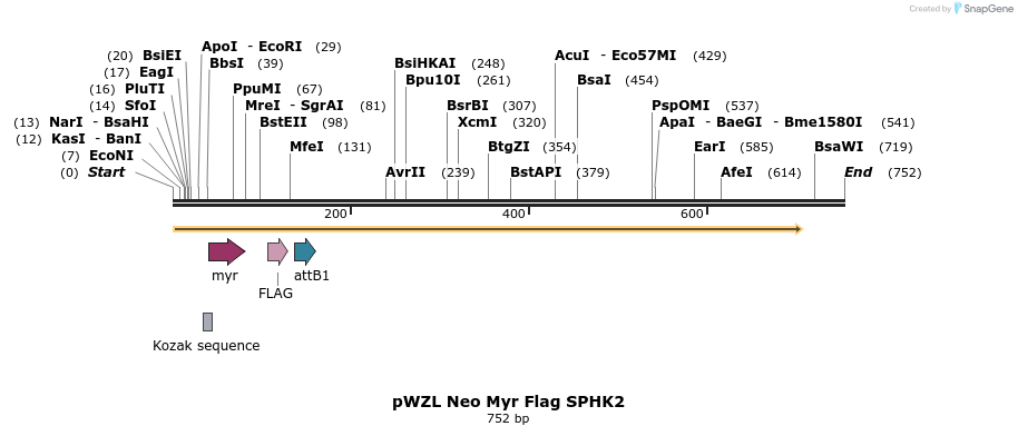 26397_map