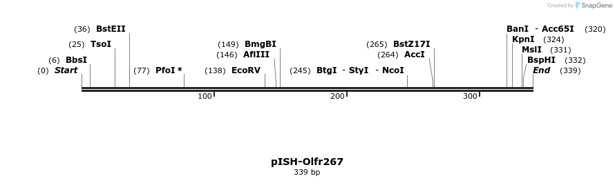 263981_map