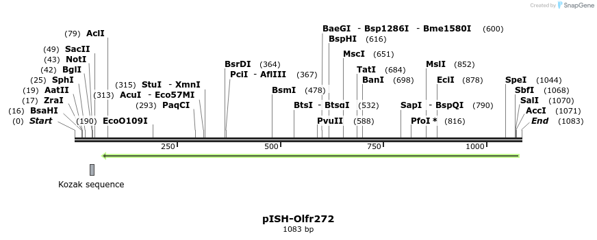 263982_map