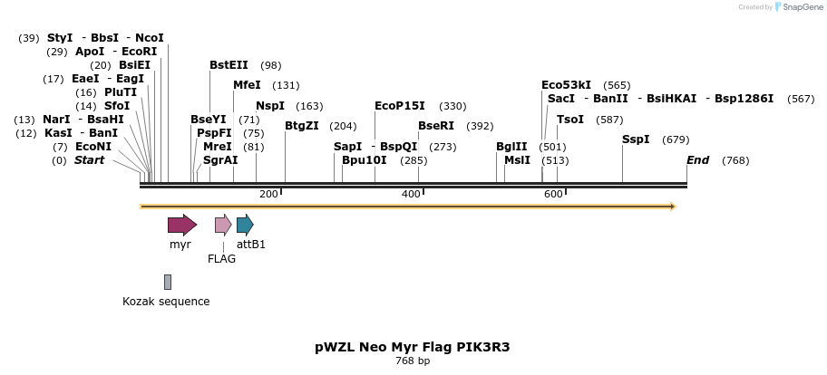26401_map