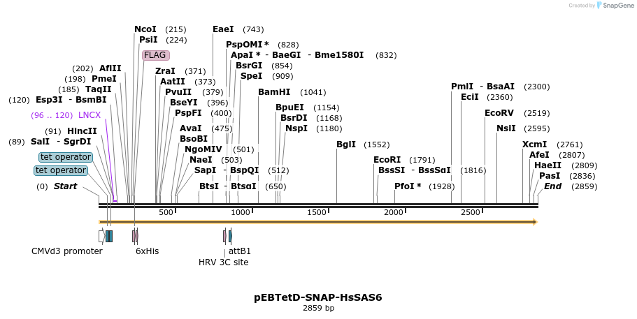 264015_map