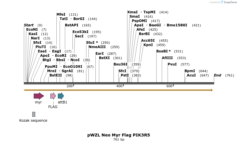 26402_map